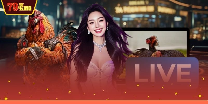 Thành viên đang theo dõi trận đấu đá gà Thomo